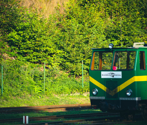 Bieszczadzka kolejka leśna