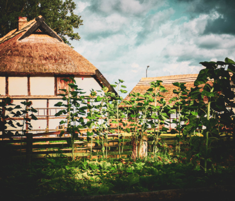muzeum wsi słowińskiej