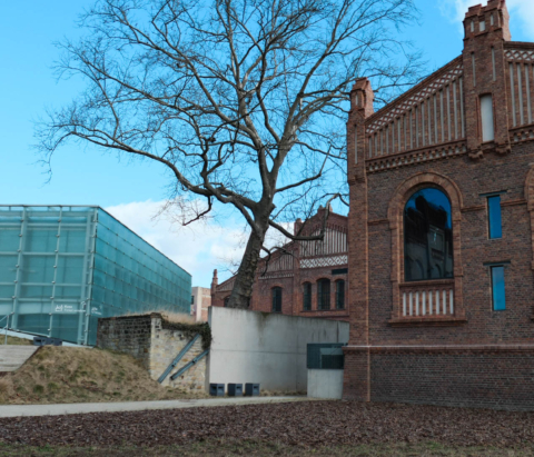 muzeum śląskie
