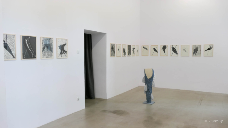 galeria miejska 1