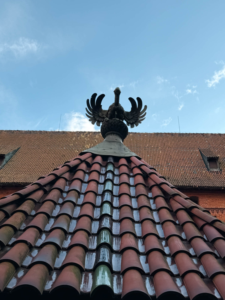 zamek w malborku
