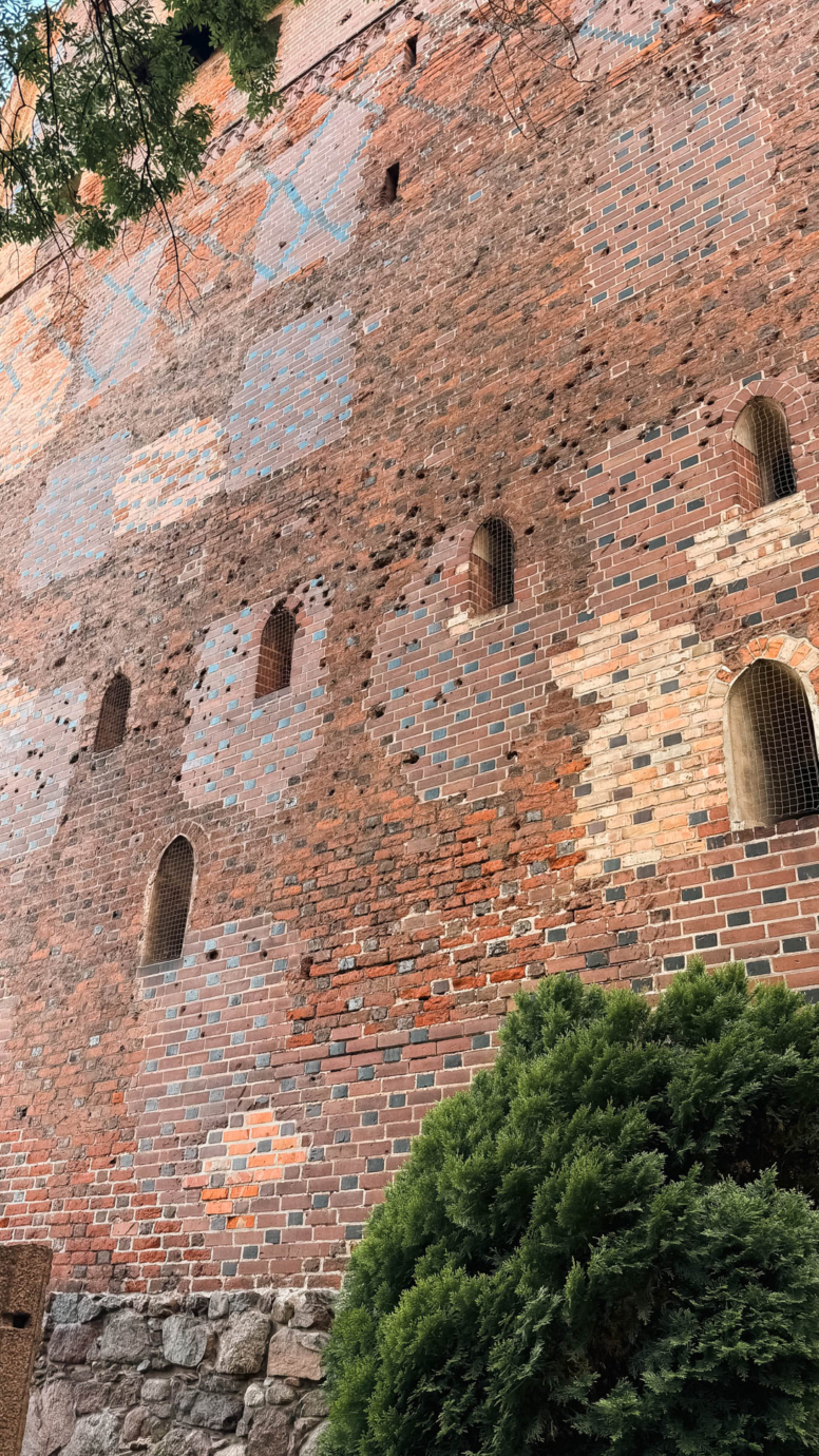 zamek w malborku