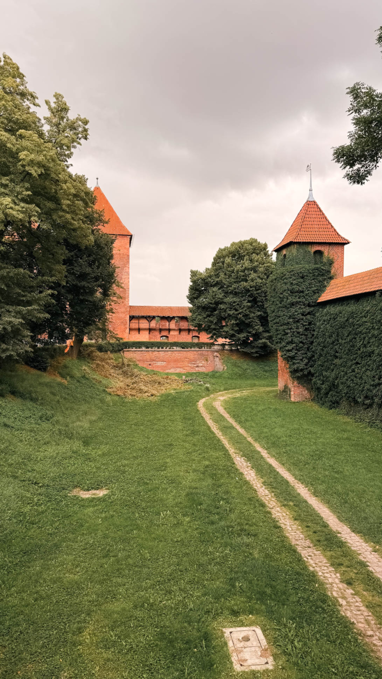 zamek w malborku