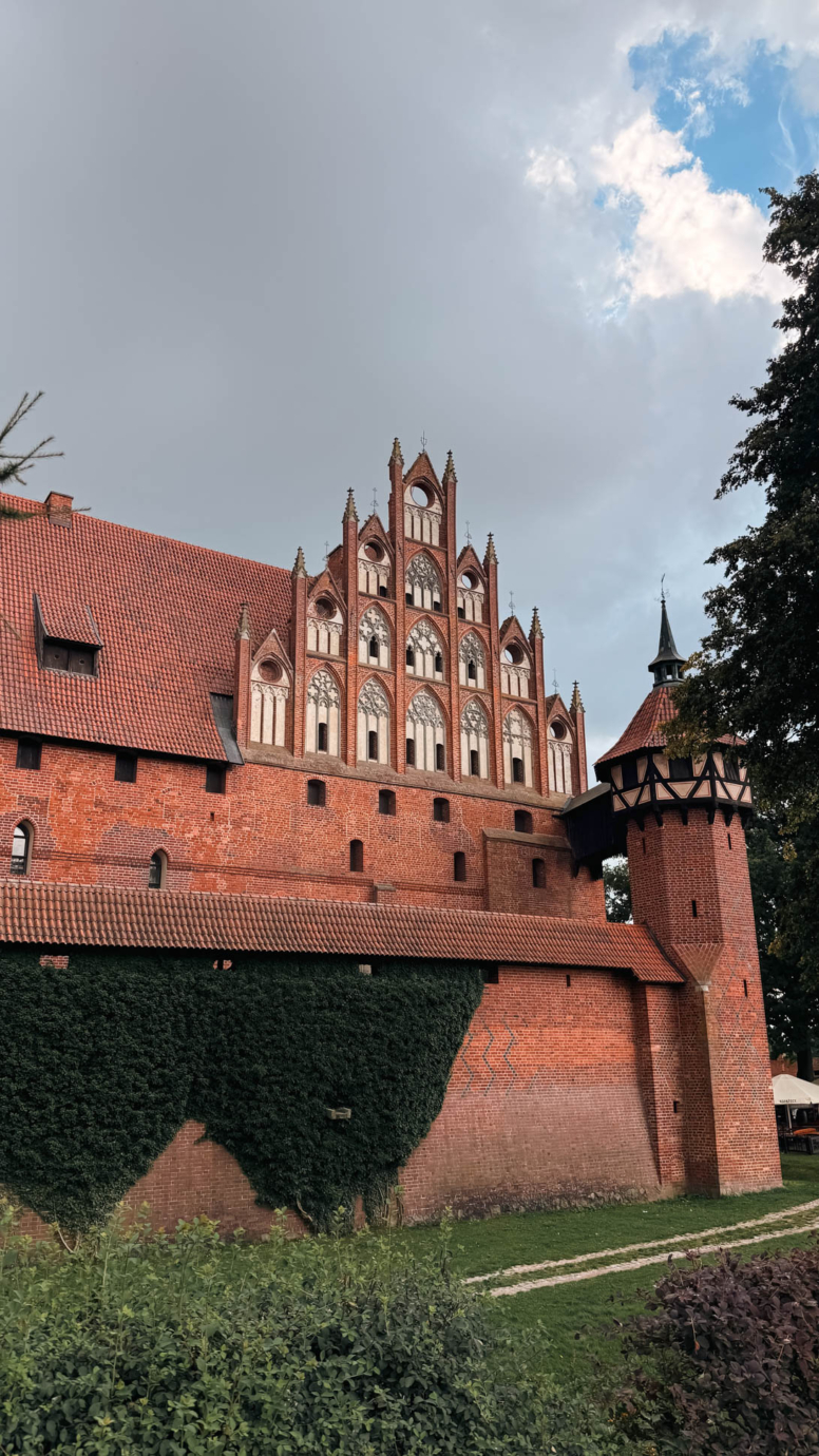 zamek w malborku
