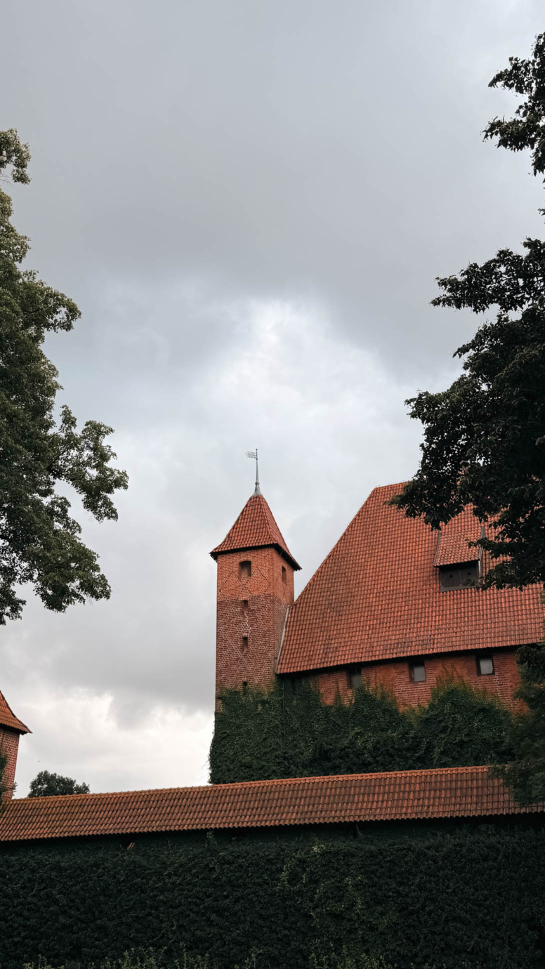 zamek w malborku